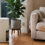 From Damp Laundry to Humid Rooms, LG PuriCare Is Ready for Rainy Days